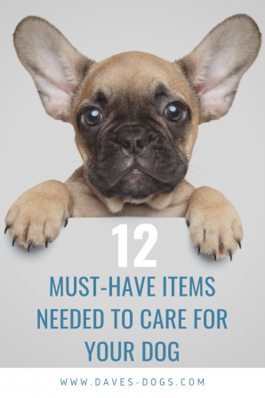 https://www.daves-dogs.com/wp-content/uploads/2019/01/12-must-have-items-needed-to-look-after-your-dog-e1547377222772.png