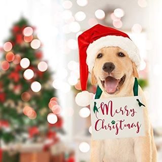 🎅