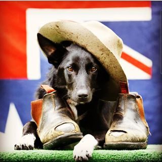 🇦🇺